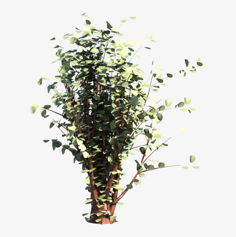 Clip Art, transparent png #3694047