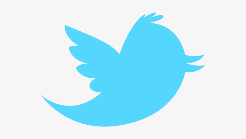 Web Professionals May Take To Twitter Like A Fish To - Twitter Logo, transparent png #3694986