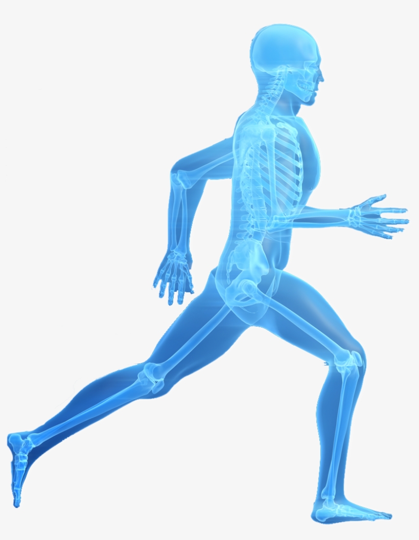 Fellowship Trained Physicians Here To Get You Back - Joint Replacement, transparent png #3695042