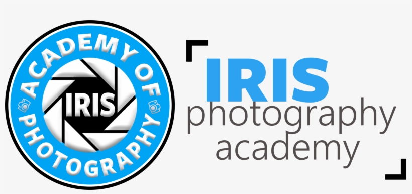 Iris Photography Academy - Bb Puzzle (swordfish) Quantity(50), transparent png #3695255