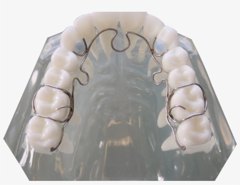 Alf - Nimrodental Ltd., transparent png #3695853