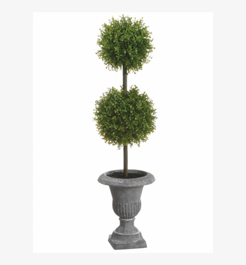 22" Tea Leaf Double Ball Topiary In Paper Mache Urn, transparent png #3695979