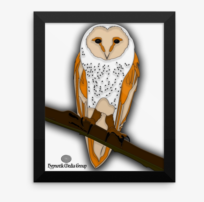 Hypno Owl Part I - Barn Owl, transparent png #3696238