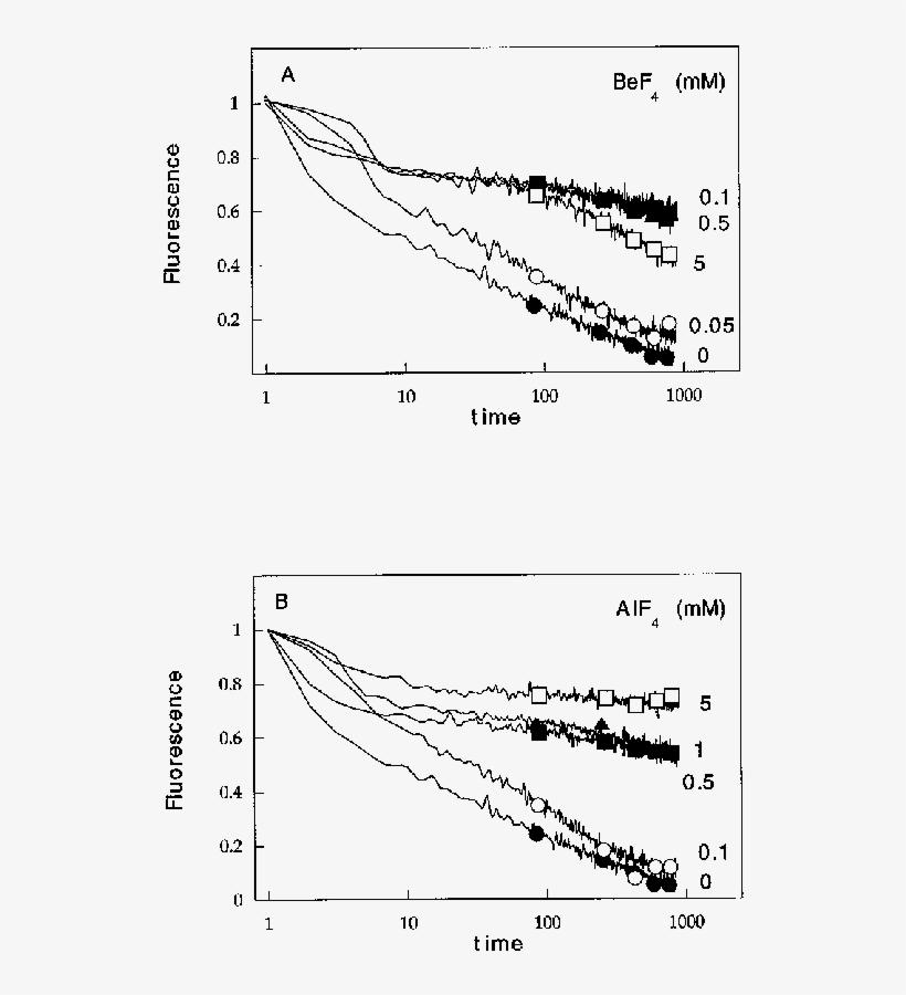 Low Concentrations Of Alf N And Bef N Generate F-actin - Diagram, transparent png #3696783