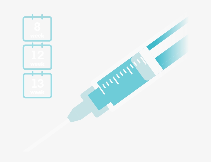 Injection - Birth Control, transparent png #3696805