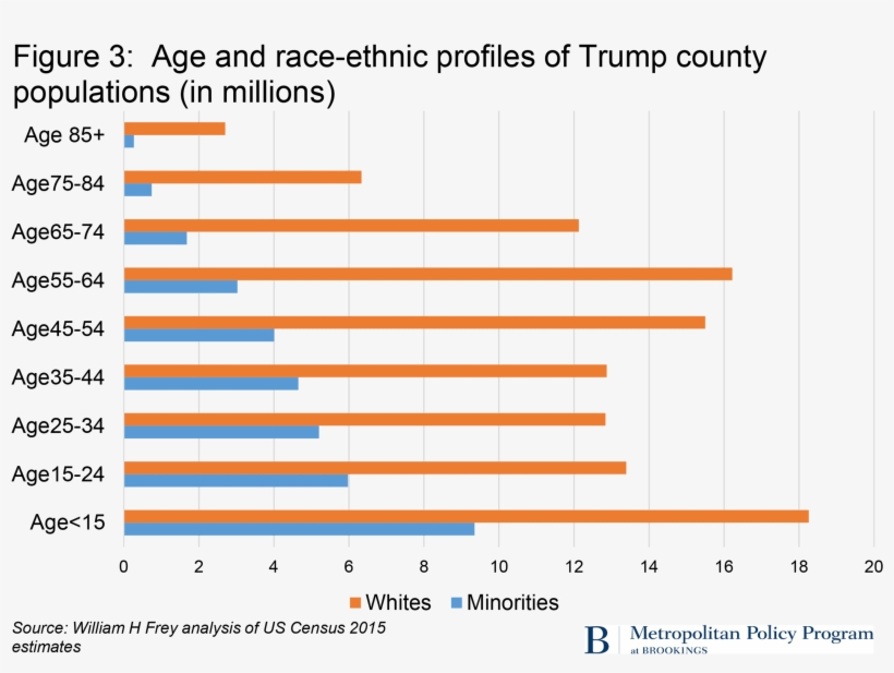 Trump's America Is Clearly Whiter And Older - Diagram, transparent png #3696926