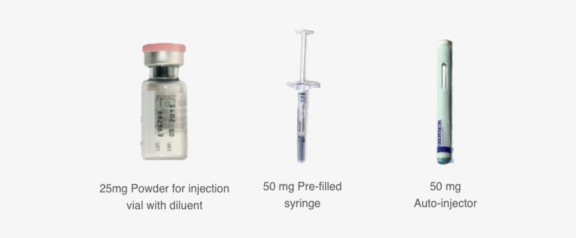 You Should Continue To Inject Enbrel For As Long As - Syringe, transparent png #3697179