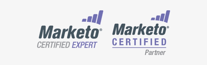 Marketo Banner Expert - Big Marketing Activity Coloring Book, transparent png #3699084