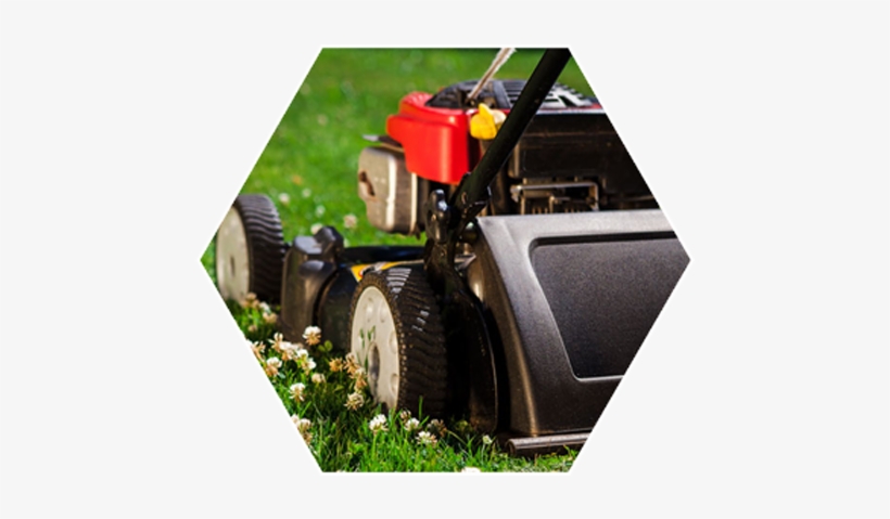Lawn Care Maintenance Oswego Il - Lawn, transparent png #3699405