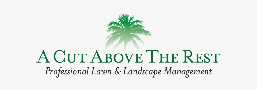 Brevard Lawn Care - A Cut Above The Rest, transparent png #3699943