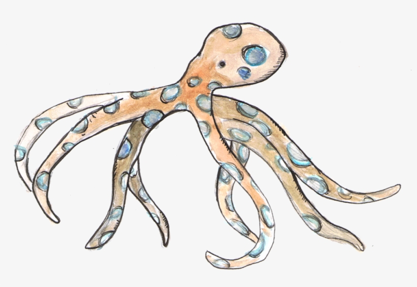 Blue Ring Octopus - Octopus, transparent png #370456