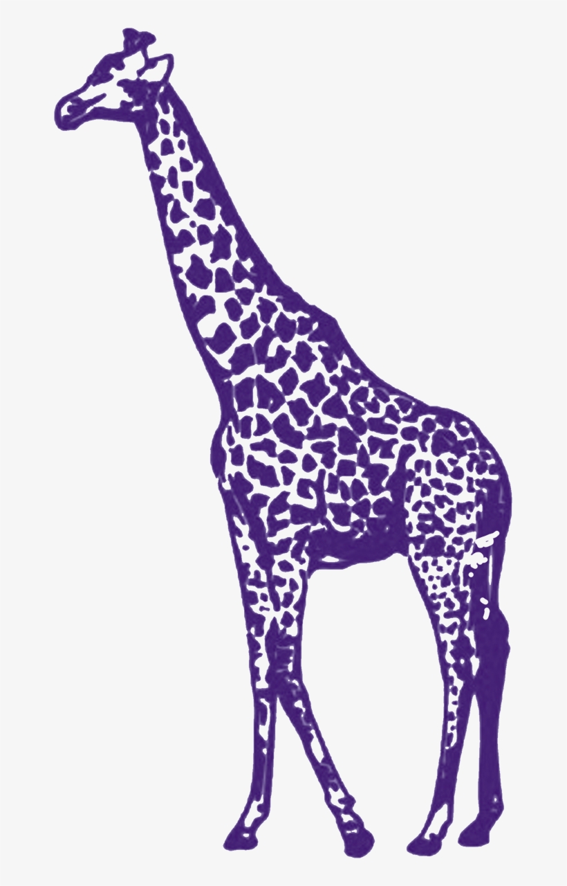 Purple Giraffe - Purple Giraffe Png, transparent png #370651