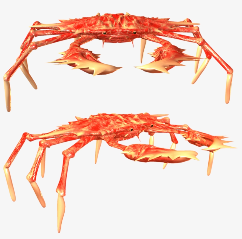 Best Free Crab Png Picture - Crab, transparent png #370859