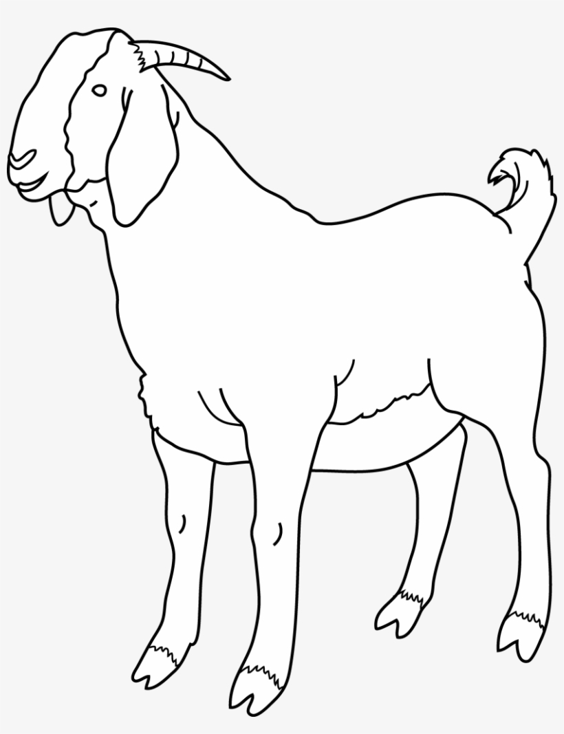 Cute Art Images Black And White Wallpaper - He Goat Clipart Black And White, transparent png #371037
