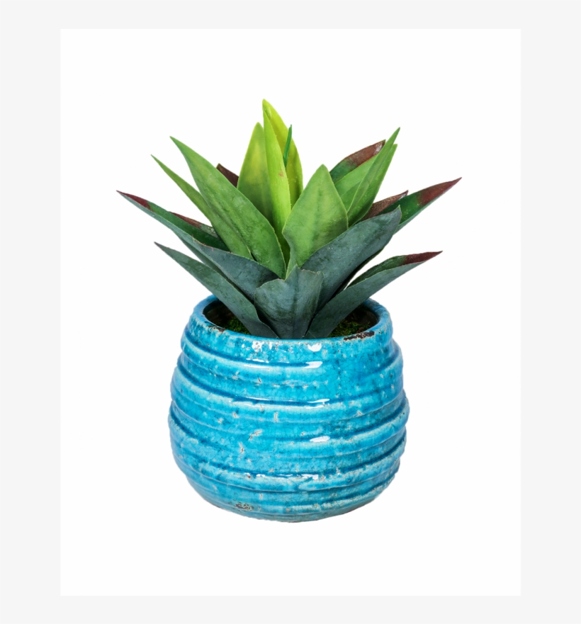 More Views - Flowerpot, transparent png #371251