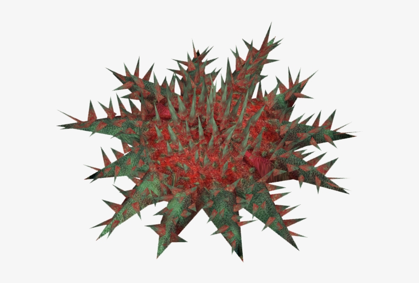 Starfishcrownofthorns Zerosvalmont - Thorns, Spines, And Prickles, transparent png #371311