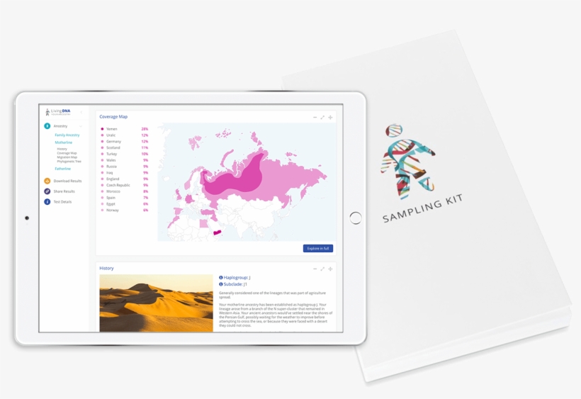 Get $20 Off Your Living Dna Kit In Our Thanksgiving - Living Dna Test, transparent png #371312