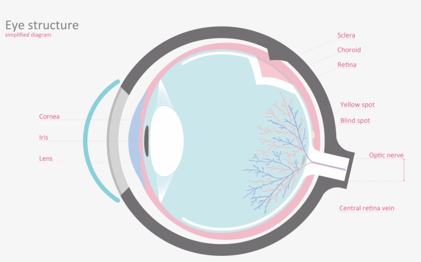 Click To Enlarge - Light Switch Symbol, transparent png #371337