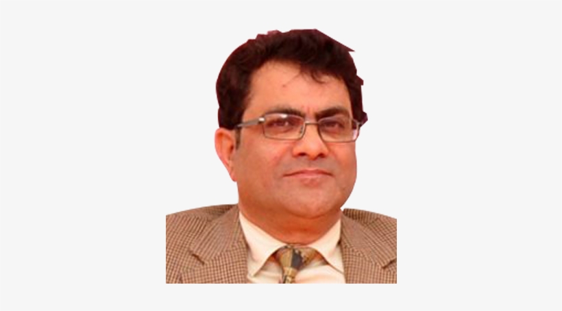 Shaheed Bhagat Singh Evening College University Of - Businessperson, transparent png #371710