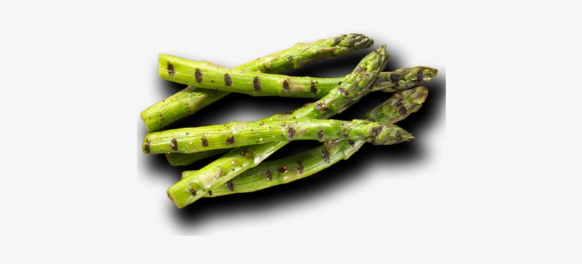 Products-vegetables - Vegetable, transparent png #372435