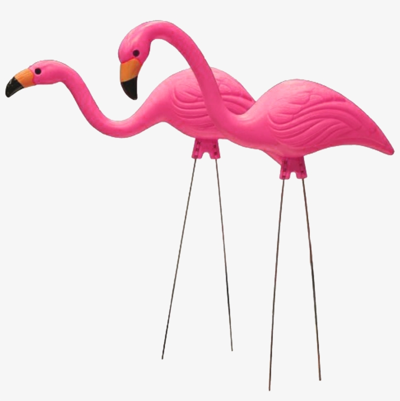 Plastic Pink Flamingo - 26 In. Pink Flamingo (2-pack), transparent png #372551