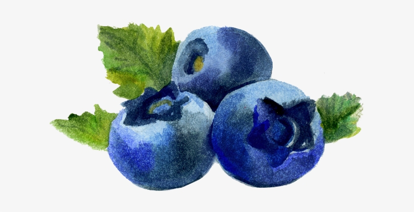 Blueberry, transparent png #373388