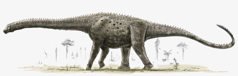 Biggest Dinosaur, transparent png #374008