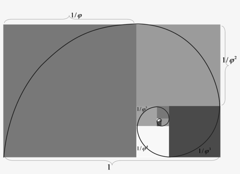 The Golden Ratio Is Everywhere - Circle, transparent png #374180
