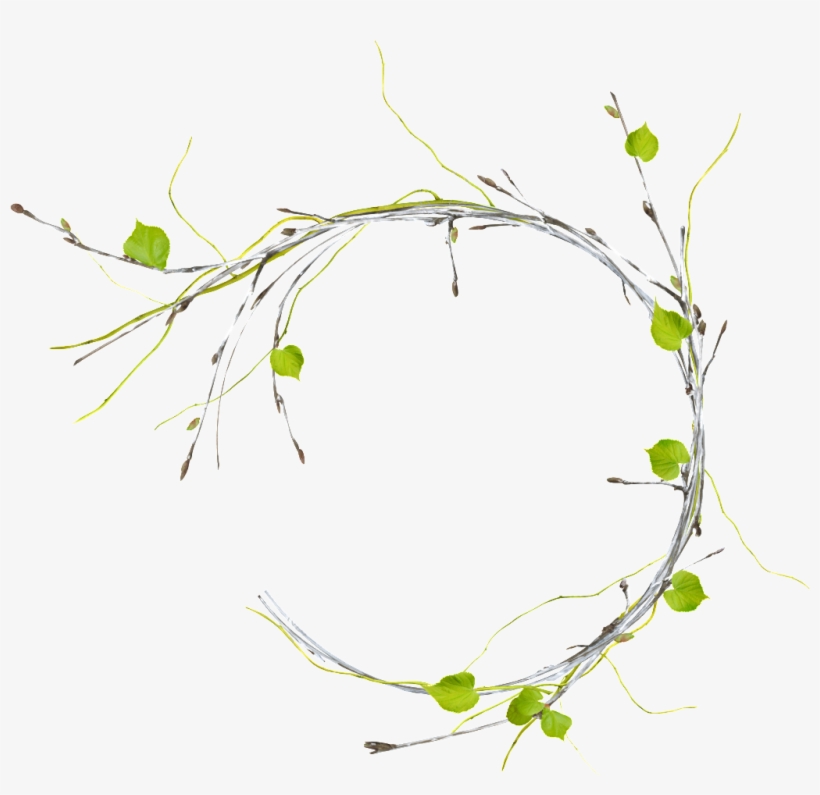 Banner Free Stock Branch Circle Png Transparent Free - Portable Network Graphics, transparent png #374407