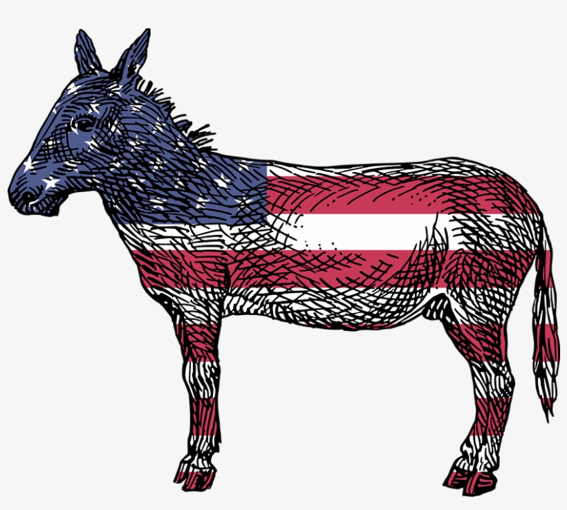 America-2025465 - Reasons To Vote For Democrats: A Comprehensive Guide, transparent png #375706