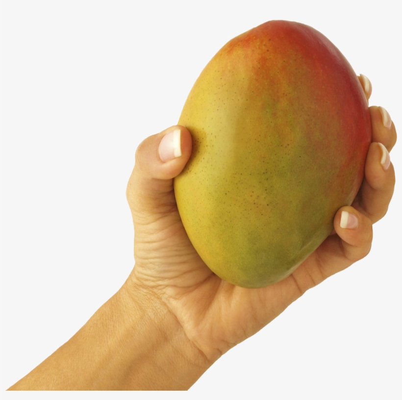 Let That Mango Memes, transparent png #376511