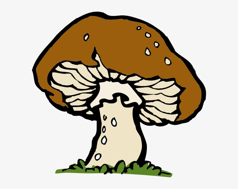 Mushroom, transparent png #376512