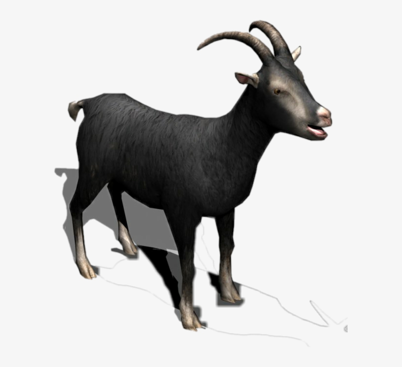 Black Goat Horns Milk Meat Cattle Sheep Eid Muslim - Goat, transparent png #376737