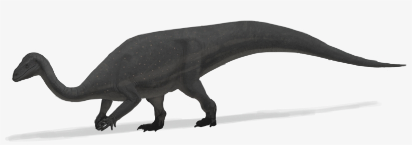 Mussaurus Patagonicus Was An Early Sauropodomorph Dinosaur - Mussaurus Png, transparent png #376850