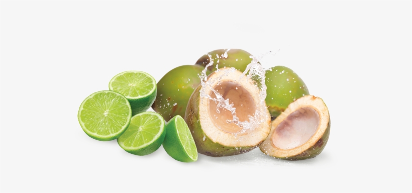 Buy Now - Green Coconut Png, transparent png #376868