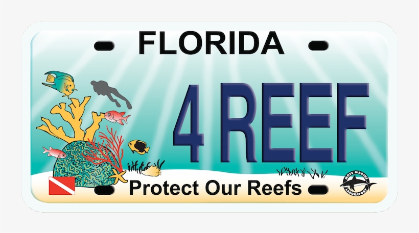 Protect Our Reef Plate - Florida For Bernie Large Tote Bag, Natural, Large, transparent png #377122