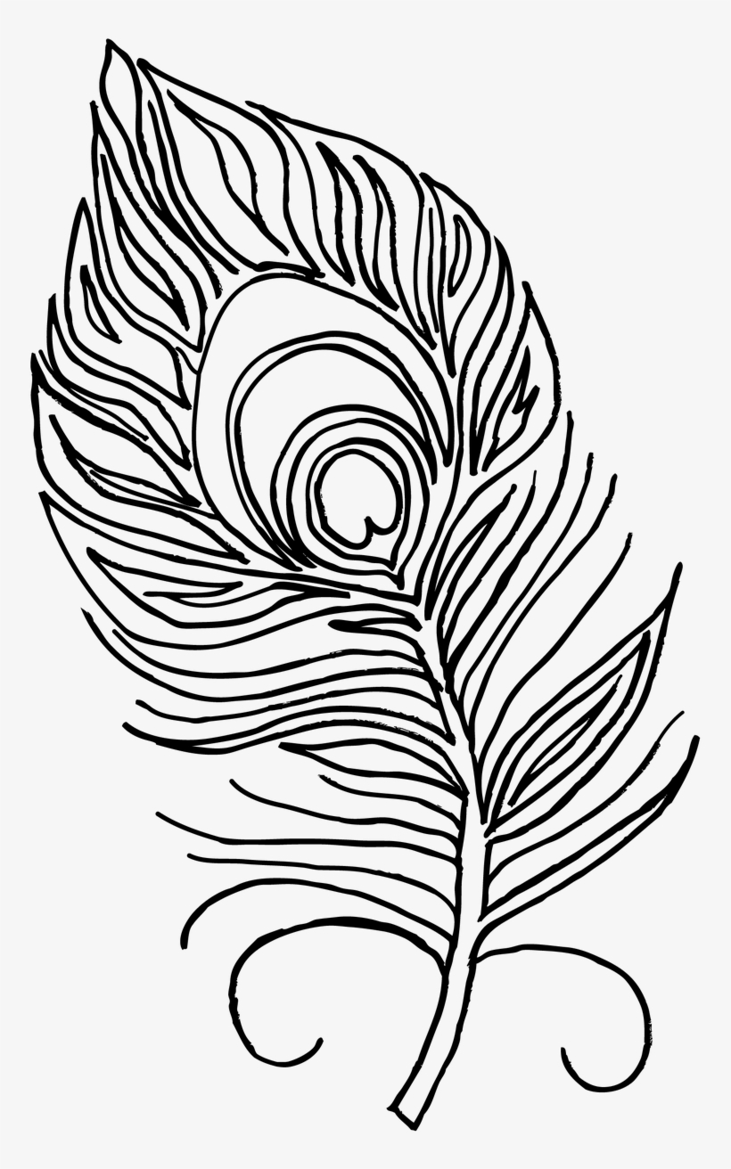 Peacock Feather Coloring Page - Peacock Feather For Colouring, transparent png #377533