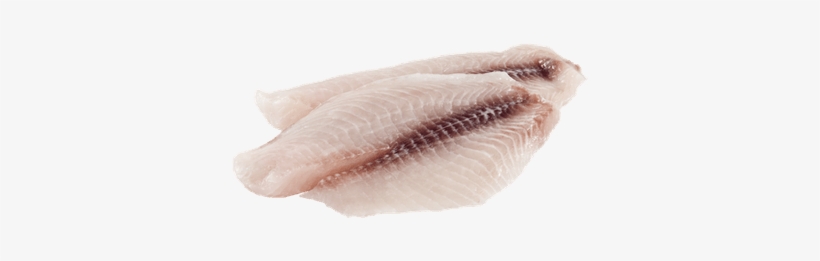 Tilapia Fillets - Fish, transparent png #377628