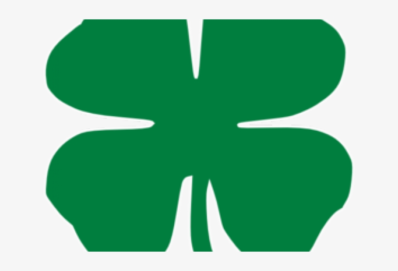 Picture 4 Leaf Clover - Four-leaf Clover, transparent png #377878