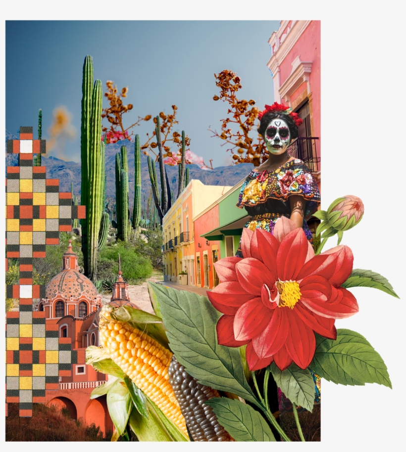 Zinnia, transparent png #378254