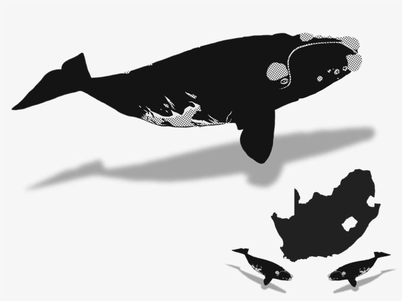 October - Nelson Rholihlahla Mandela: Reflections Through The, transparent png #378454