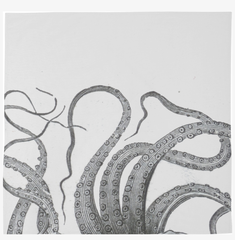 00 Design By Igalaxy Octopus Art Free Transparent Png Download Pngkey