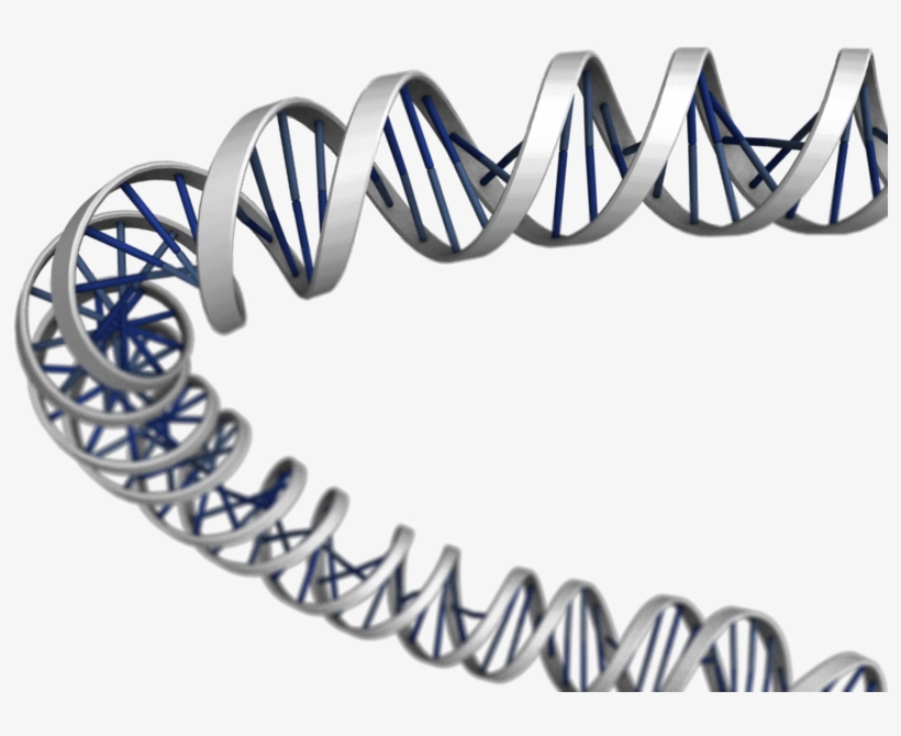 3d Dna Png Download - Dna Structure 3d Png, transparent png #378990