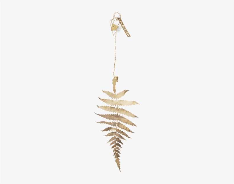 Ostrich Fern, transparent png #379519
