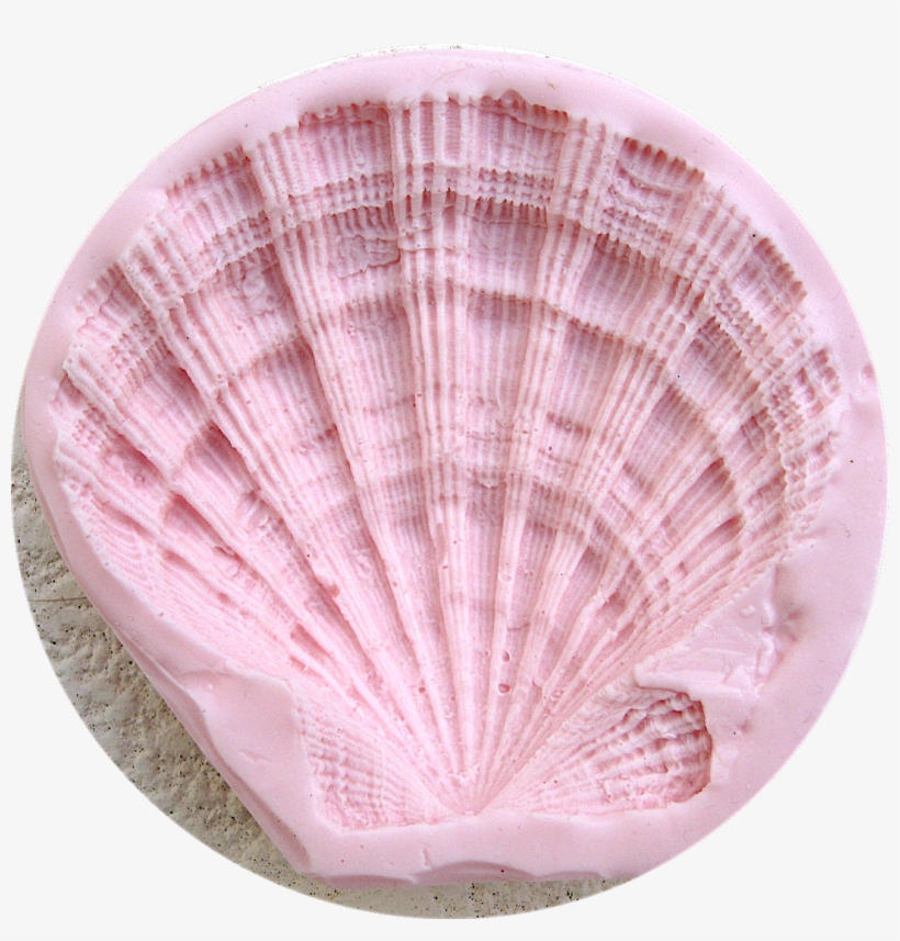 Lion's Paw Seashell - Lion, transparent png #379589