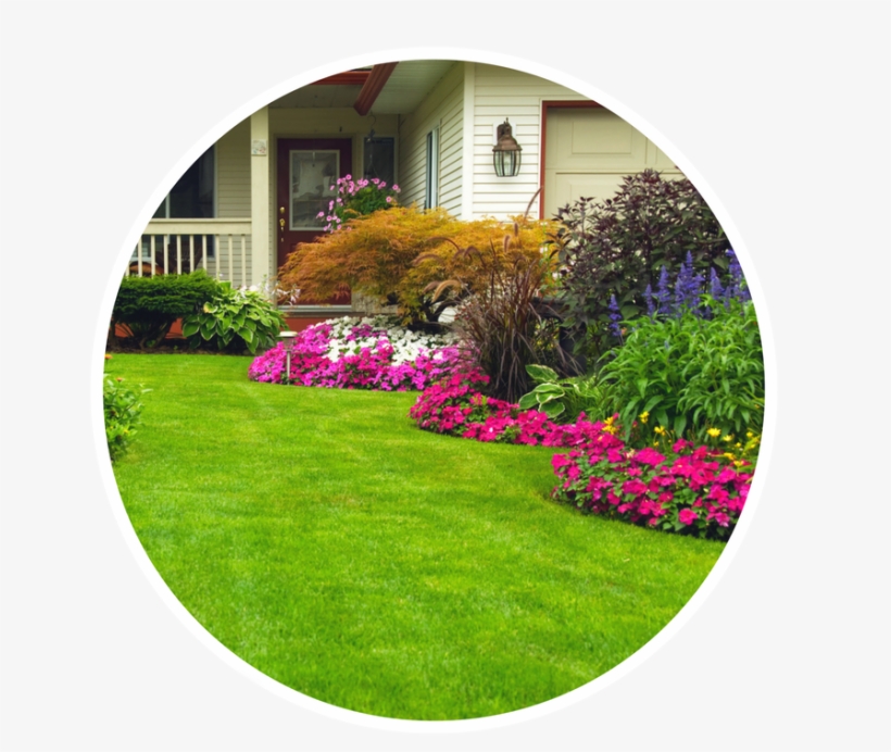 Services Include - - Amazing Lawns And Landscapes, transparent png #3700001