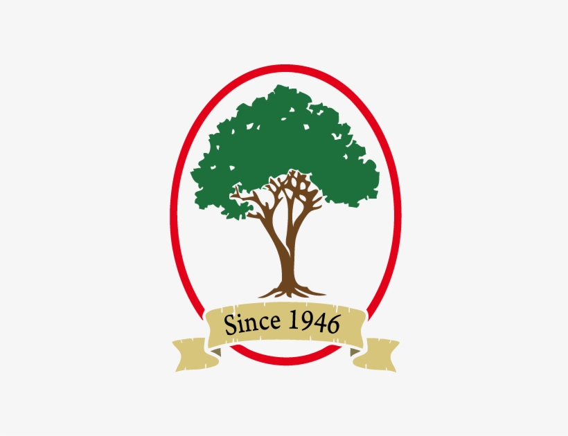 Tree & Lawn Care - Fitzwater Tree And Lawn Care, transparent png #3700305