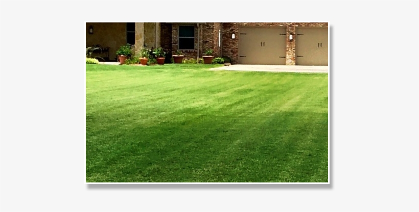 Cut Lawn, transparent png #3700797