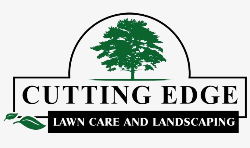 Proudly - Cayo Costa State Park, transparent png #3700881