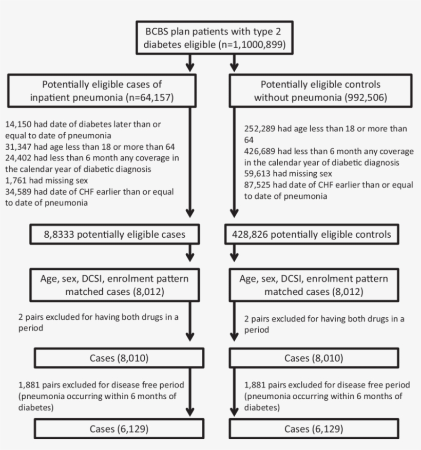 Selection Of Cases And Controls - Document, transparent png #3703327